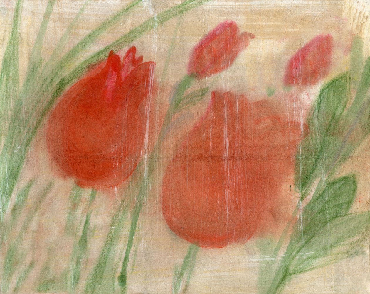  by Marina Falco
