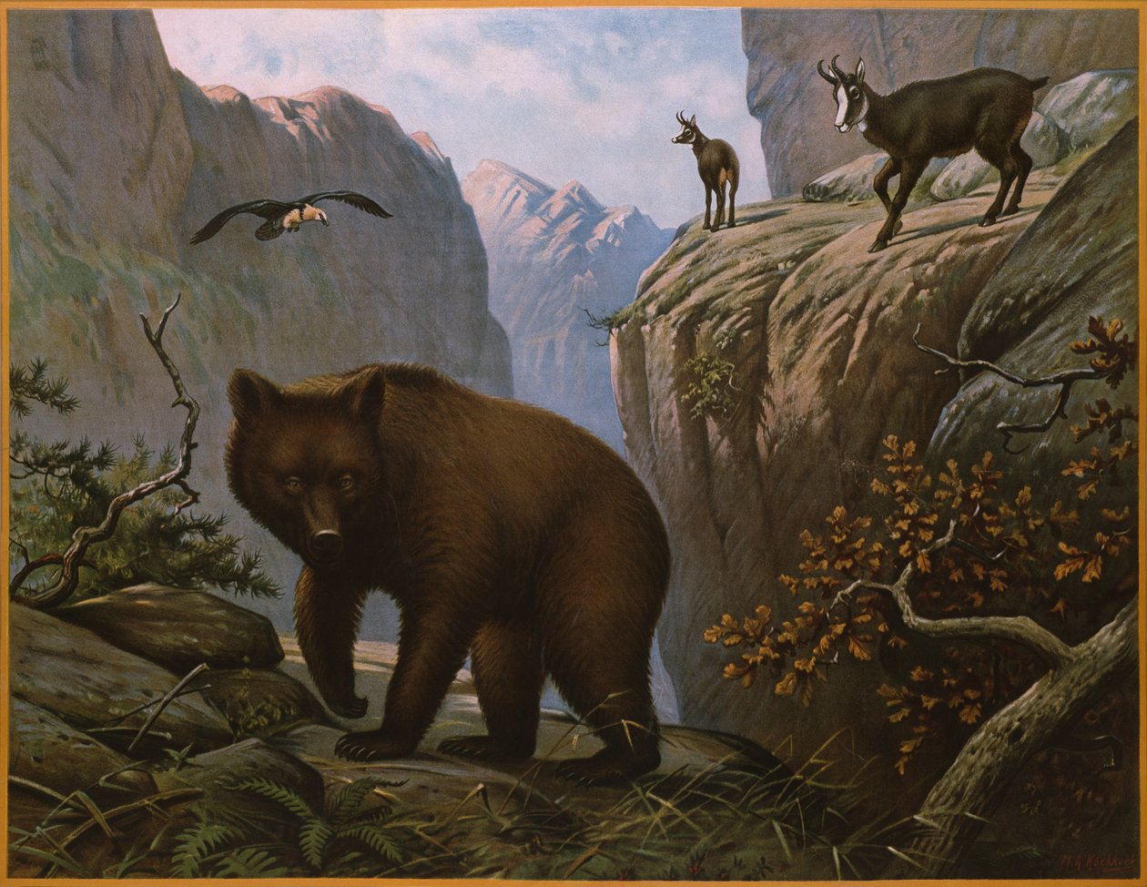 Alplerde yaşayan vahşi hayvanlar by Marinus Adrianus Koekkoek
