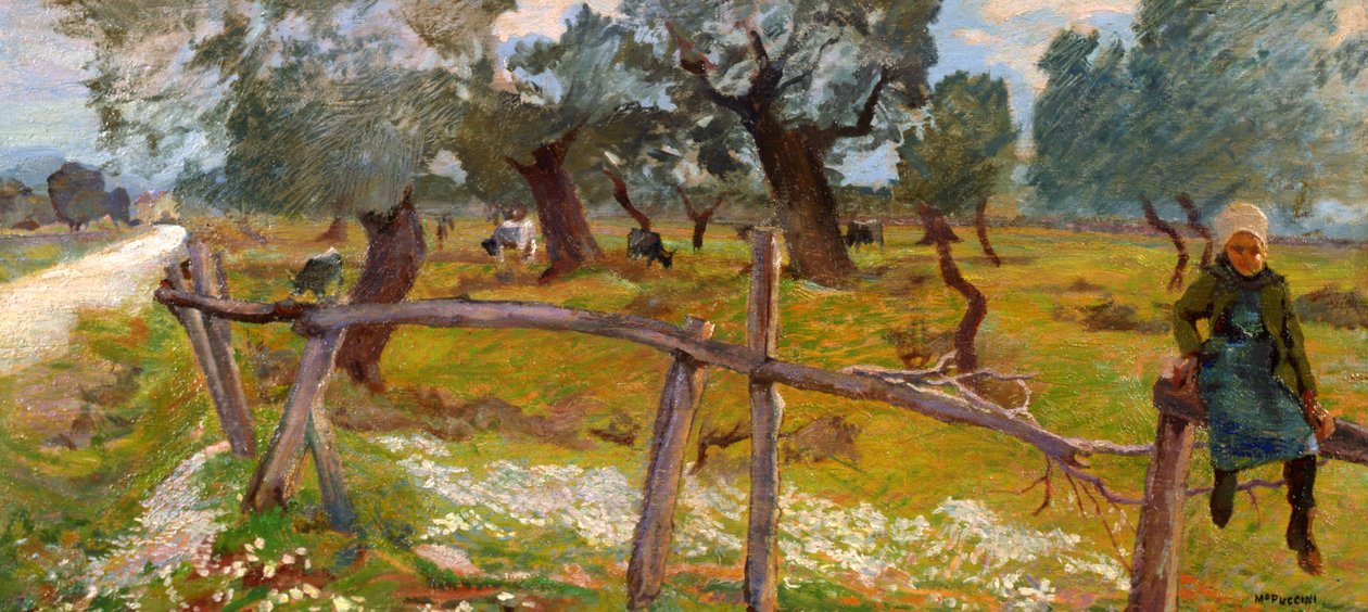 Köylü ile Zeytinlik by Mario Puccini
