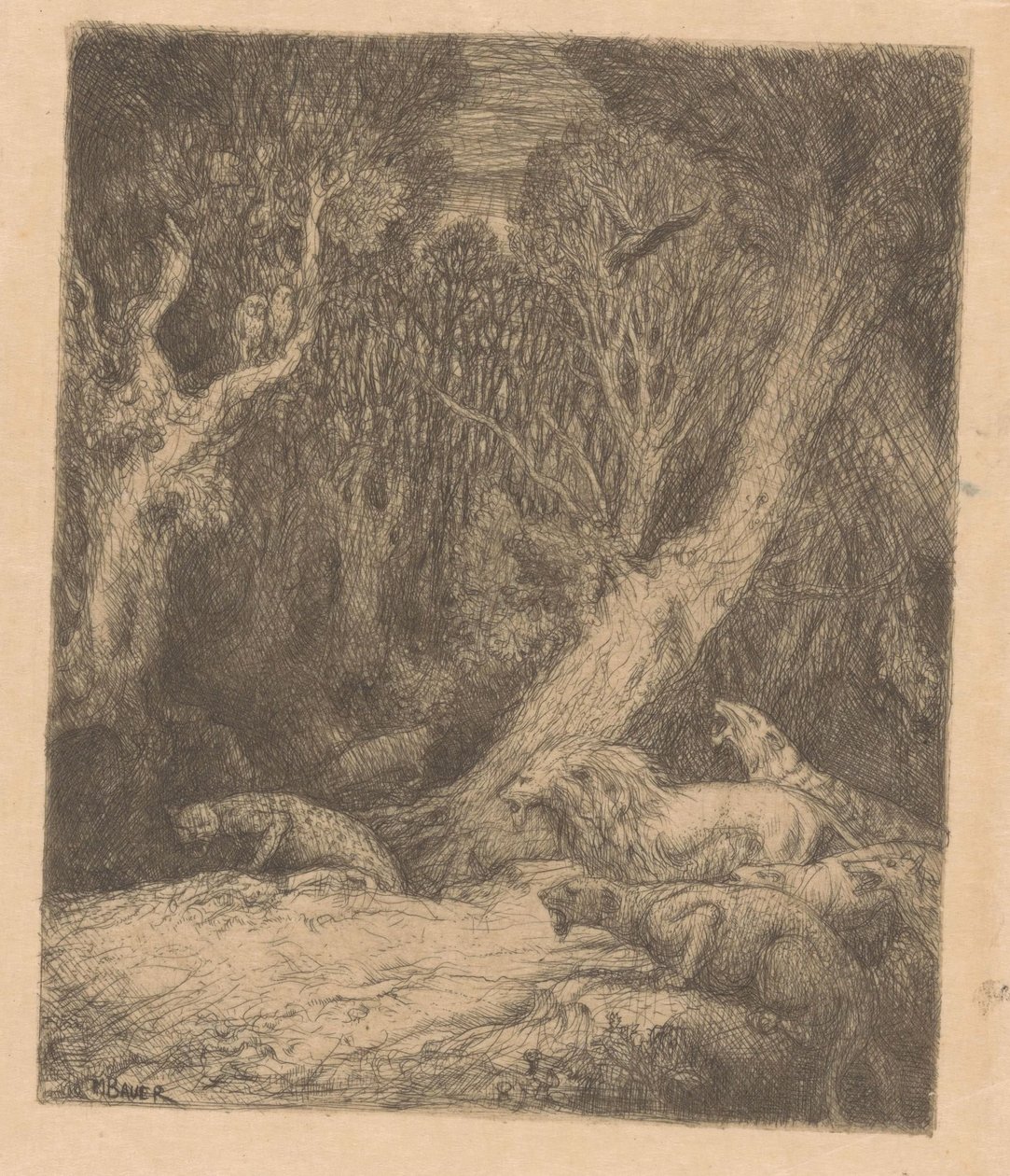 Ormandaki vahşi hayvanlar by Marius Bauer
