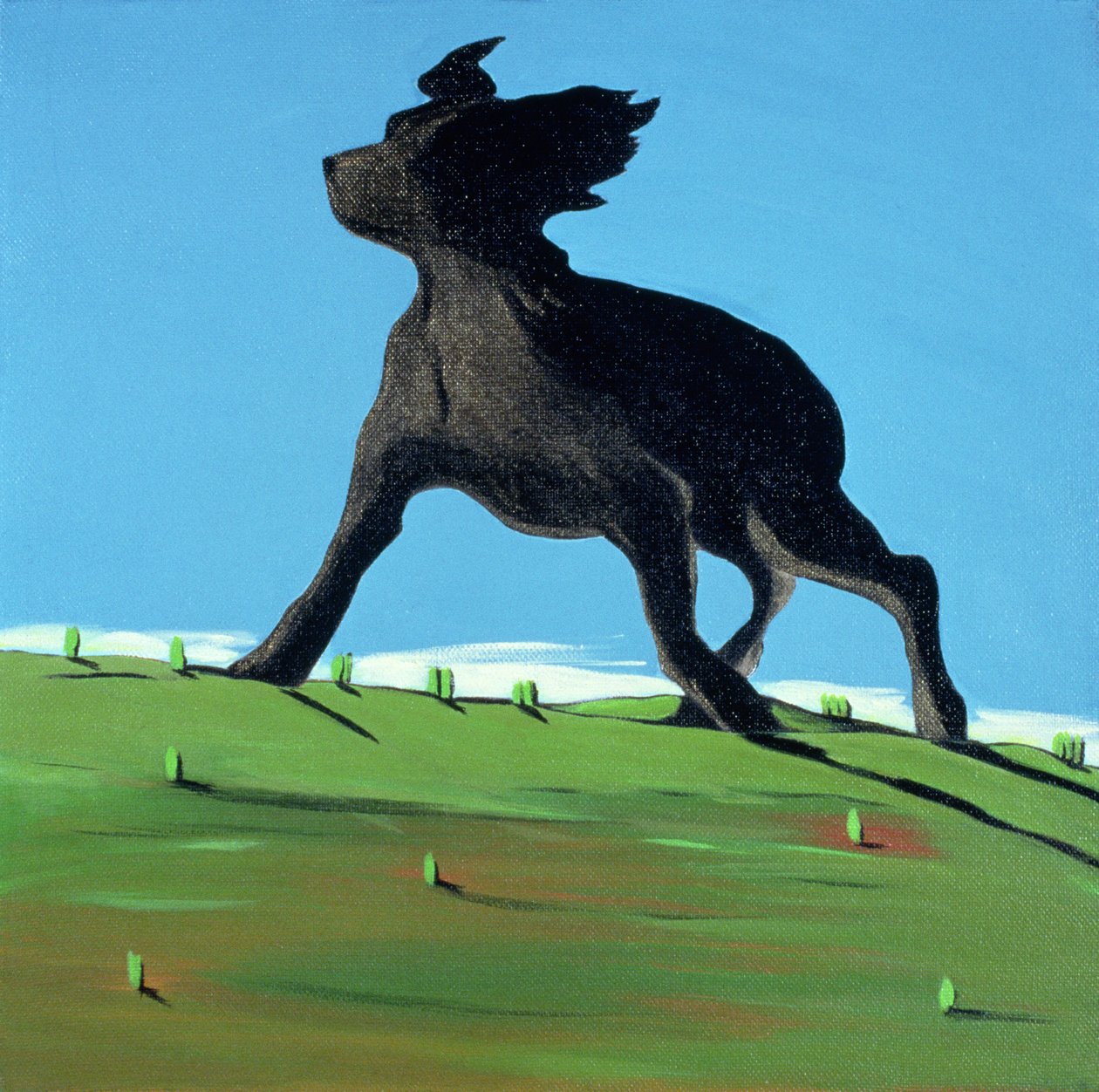 Amazing Black Dog, 2000 (tuval üzerine akrilik) by Marjorie Weiss