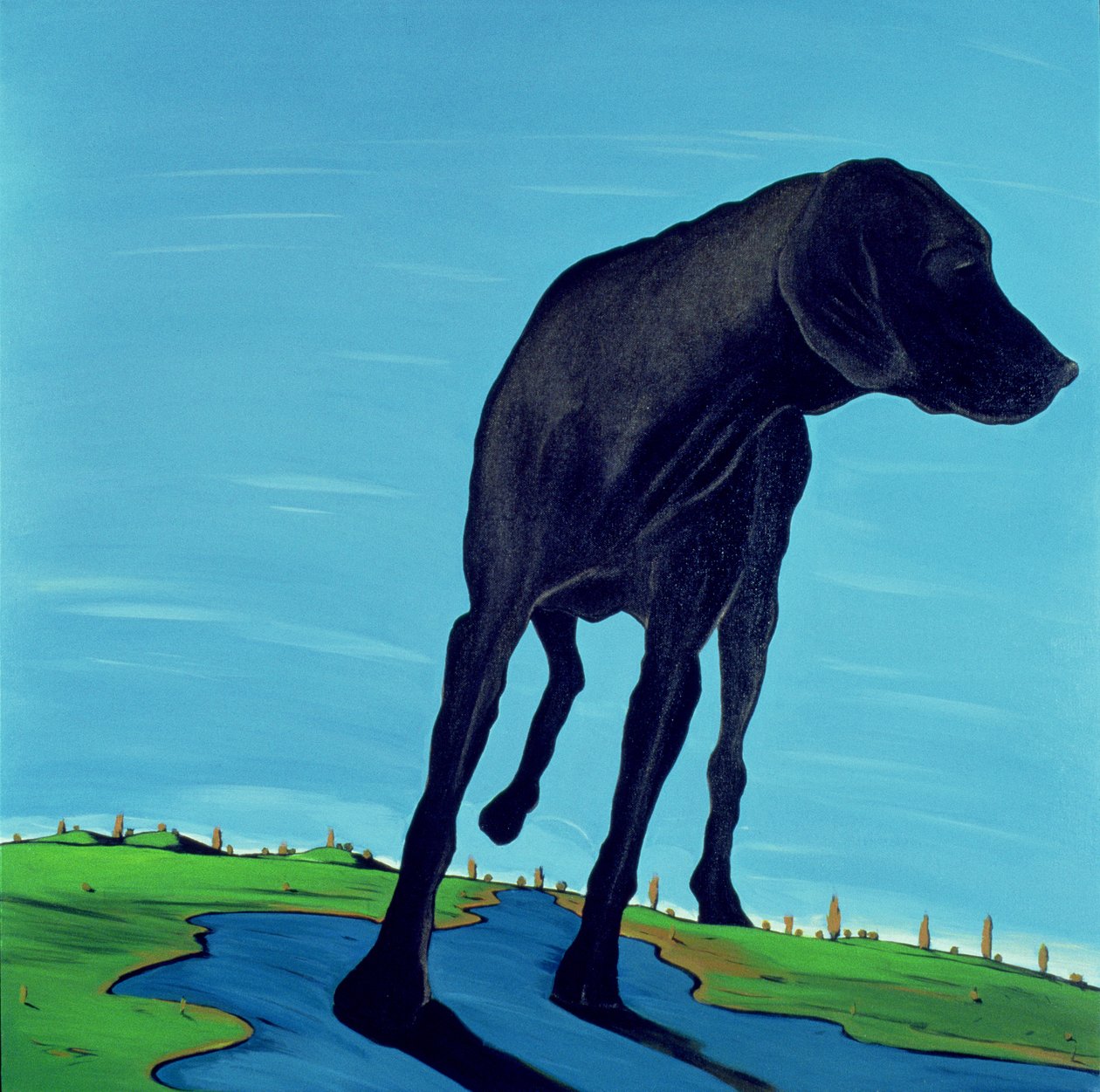 Joes Black Dog (yeni görünüm), 2000 (tuval üzerine akrilik) by Marjorie Weiss
