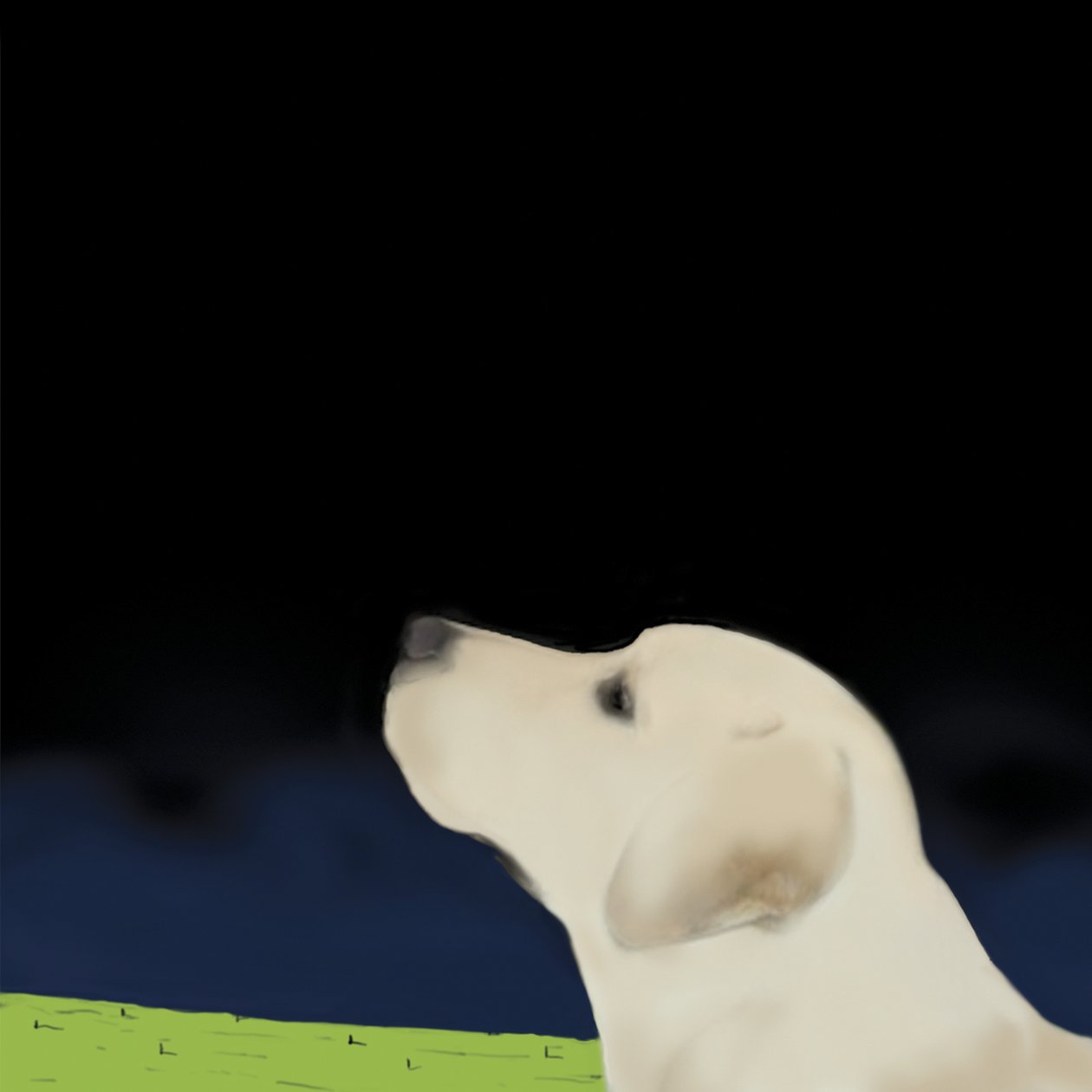 Sarı Köpek Profili, 2008 (tuval üzerine akrilik) by Marjorie Weiss