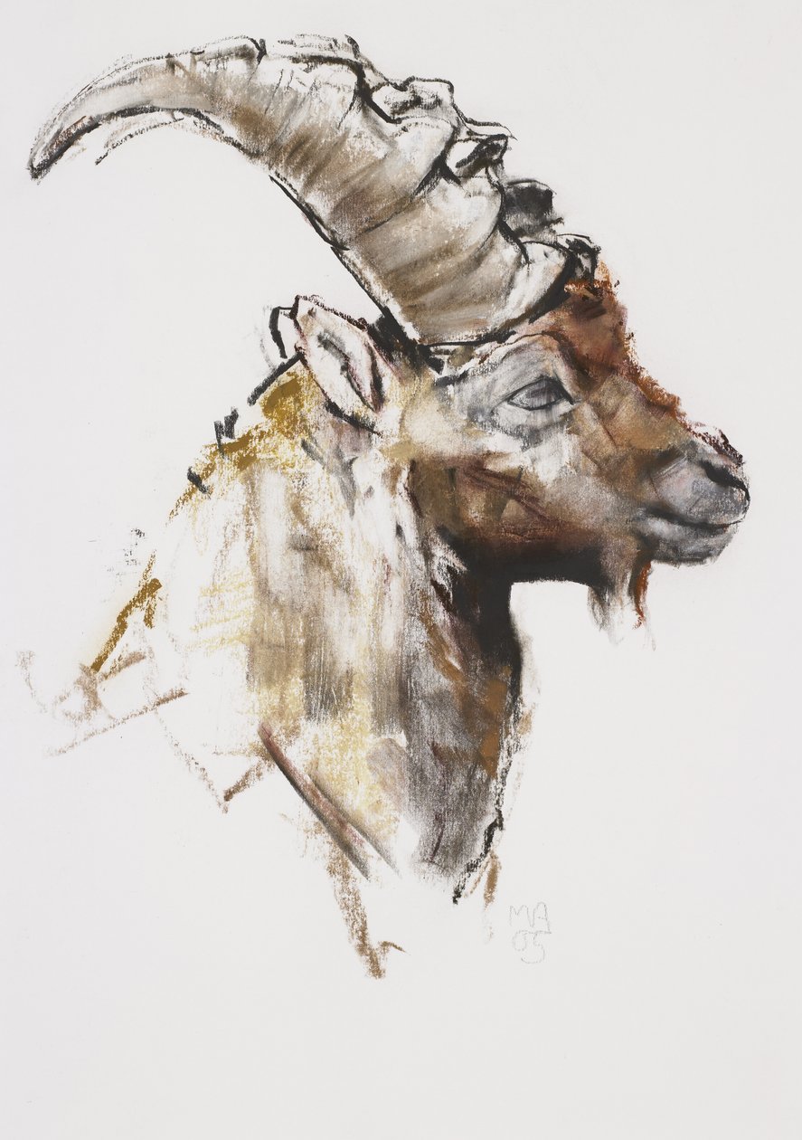 Genç adam, 2005 (kağıt üzerinde kömür und conte) by Mark Adlington