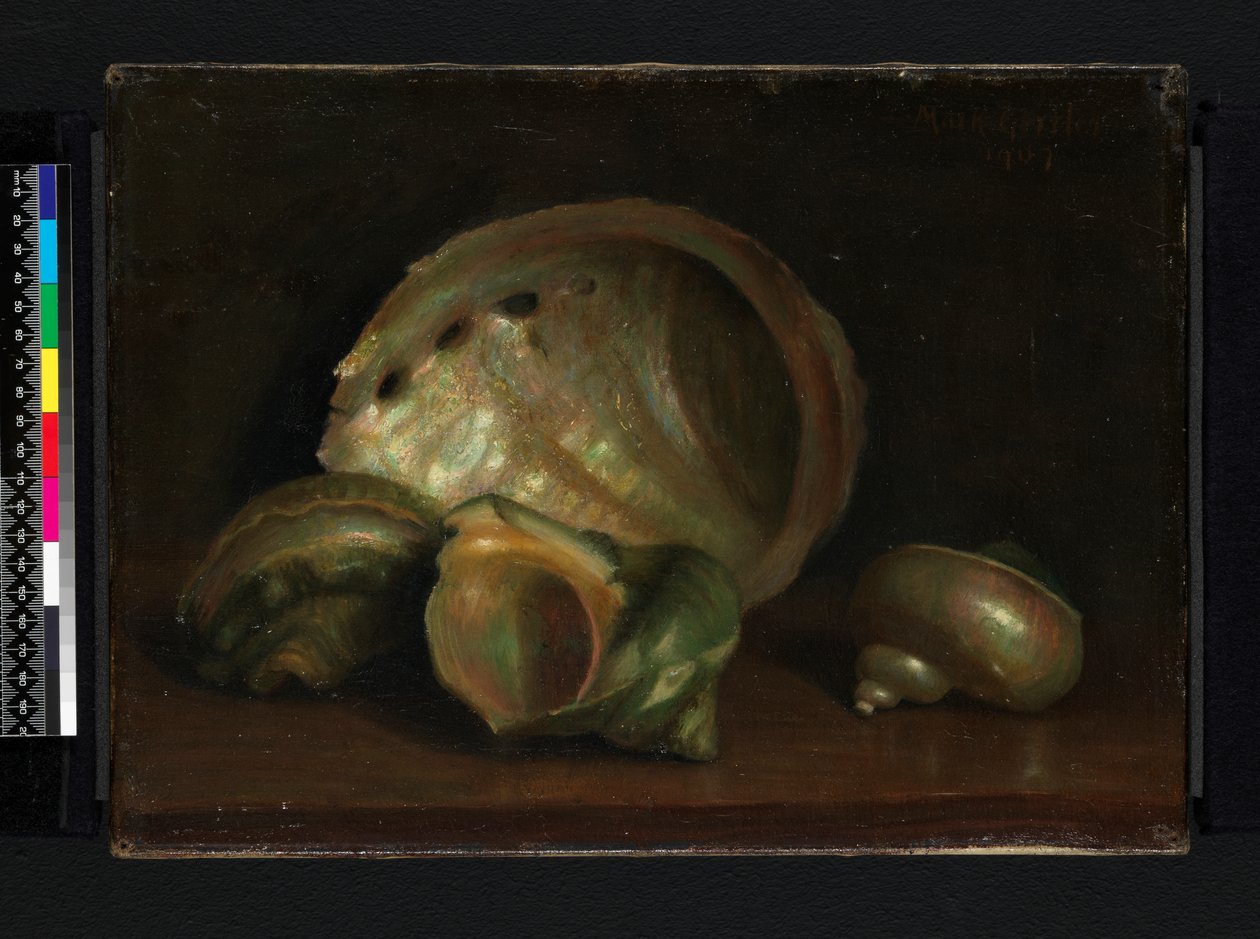 Deniz kabukları, 1907 by Mark Gertler