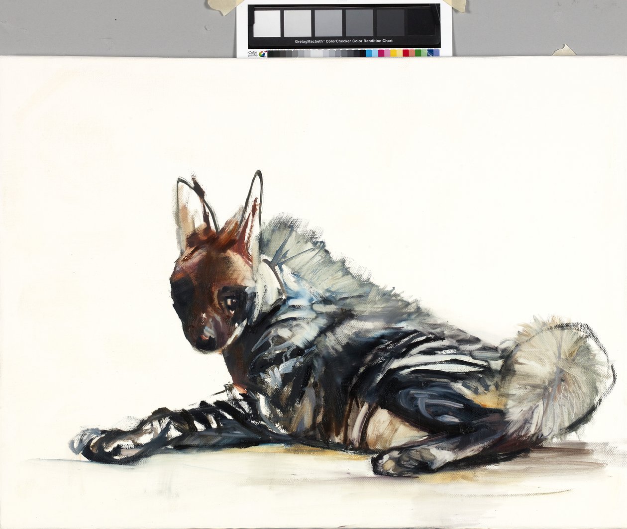 ergen, 2010 by Mark Adlington