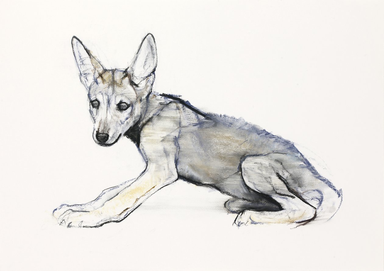 Ergen Arap Kurt Yavrusu, 2009 (kağıt üzerinde karakalem) by Mark Adlington