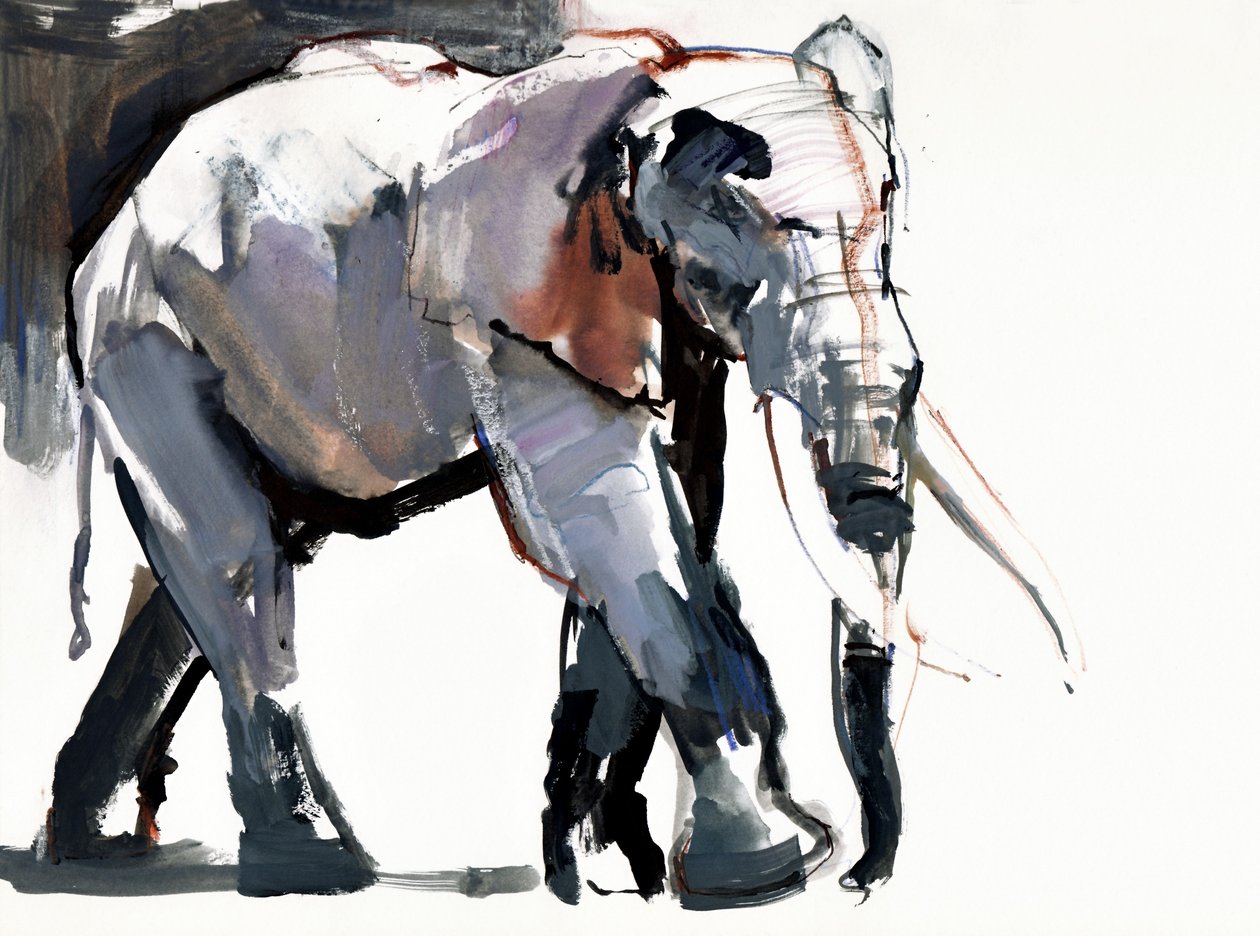 Afrika Fili, 2012, (kağıt üzerinde karışık teknik) by Mark Adlington