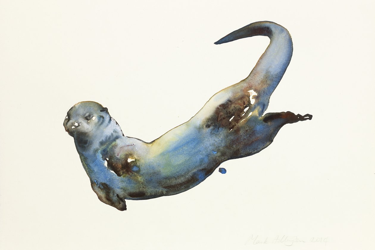 Aqua, 2014, (kağıt üzerine sulu boya) by Mark Adlington