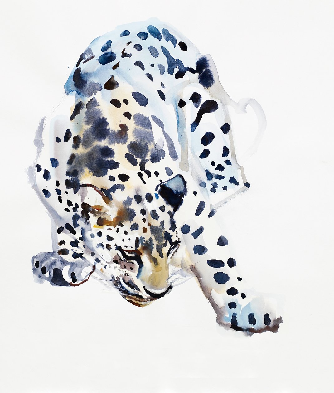 Arap Leoparı, 2008 by Mark Adlington