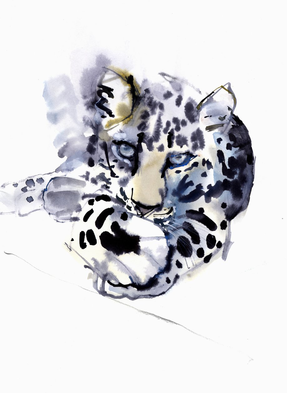 Arap Leoparı, 2008 by Mark Adlington