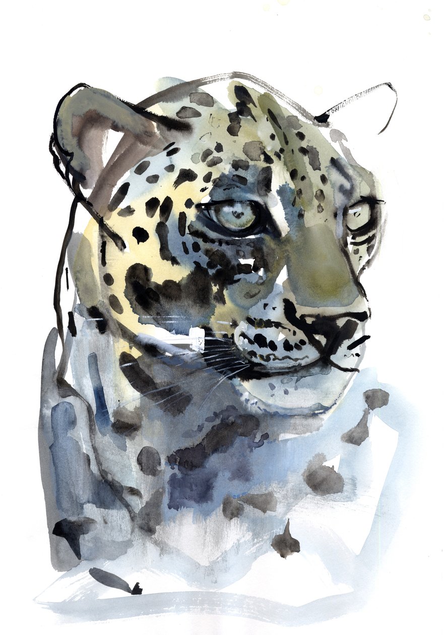 Arap Leoparı, 2008 by Mark Adlington