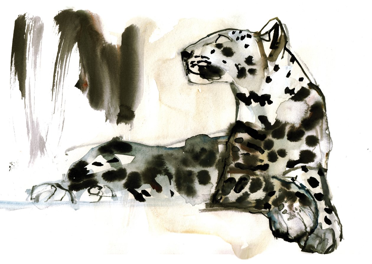 Arap Leoparı, 2008 by Mark Adlington