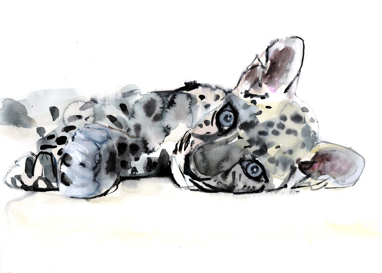 Arap Leoparı Yavrusu, 2008 by Mark Adlington