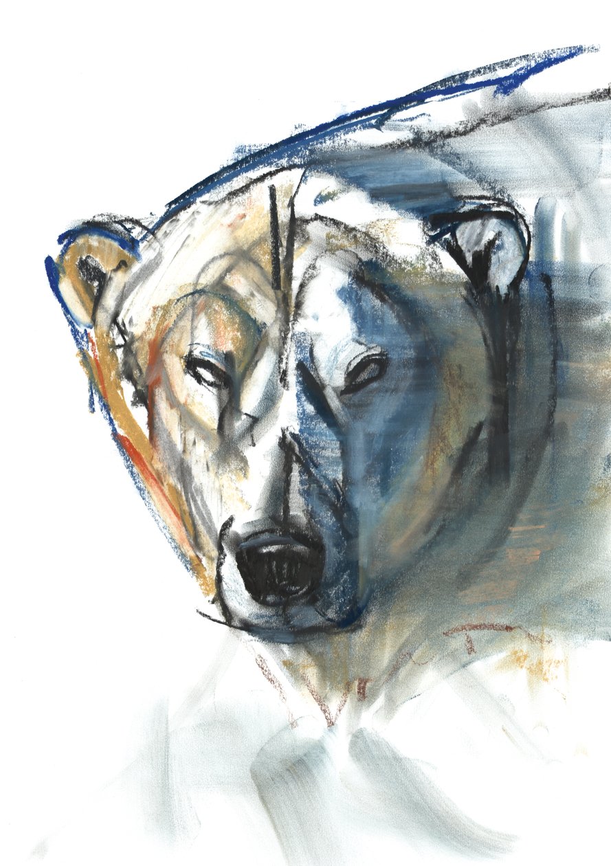 Arctic Icon, 2015, (kağıt üzerinde conté ve pastel) by Mark Adlington
