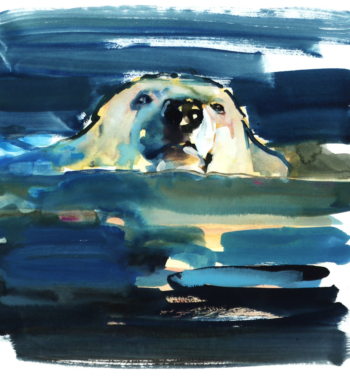 Arctic Swim, 2016, (kağıt üzerine sulu boya) by Mark Adlington
