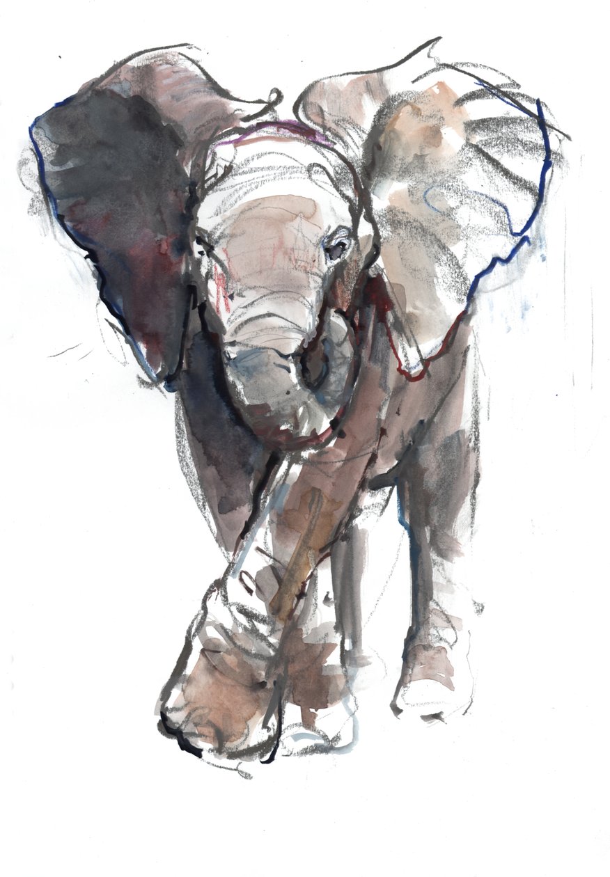 Bebek Şarjı, 2018 by Mark Adlington