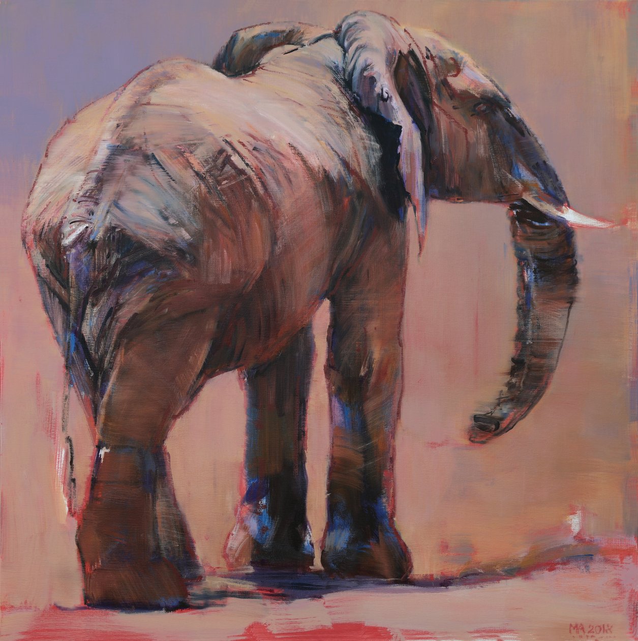 Arkada, Loisaba, 2018 by Mark Adlington