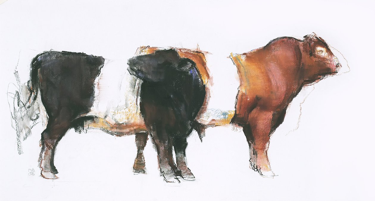 Belties, 2006 (kağıt üzerinde kömür und conte) by Mark Adlington