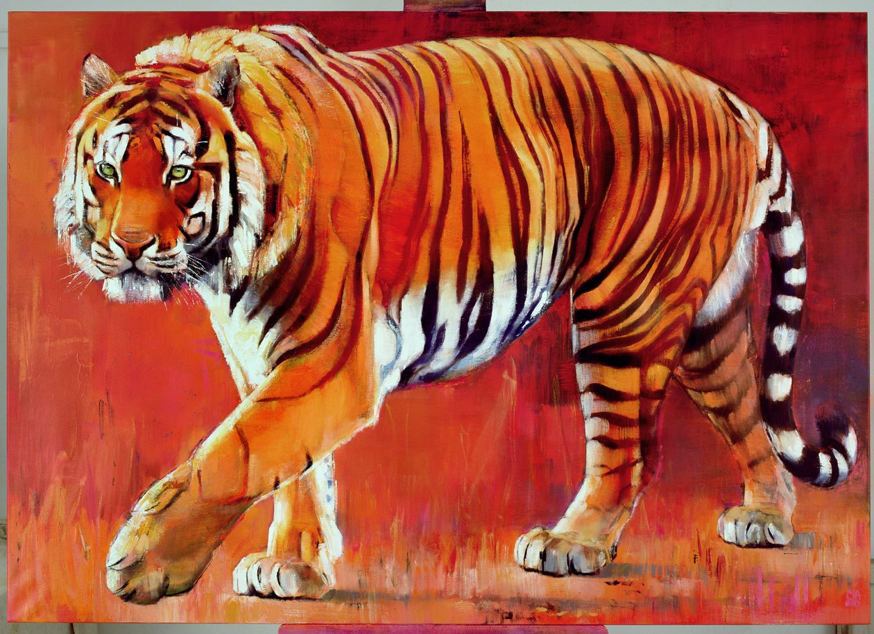 Bengal kaplanı by Mark Adlington