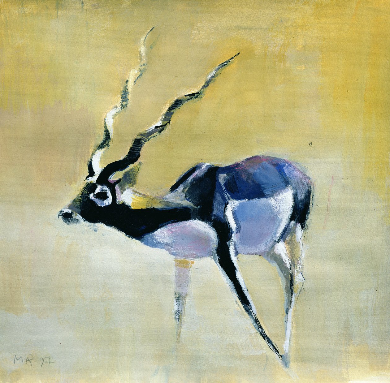 Black Buck, Velavadar, 1997 (kağıt üzerinde karışık teknik) by Mark Adlington
