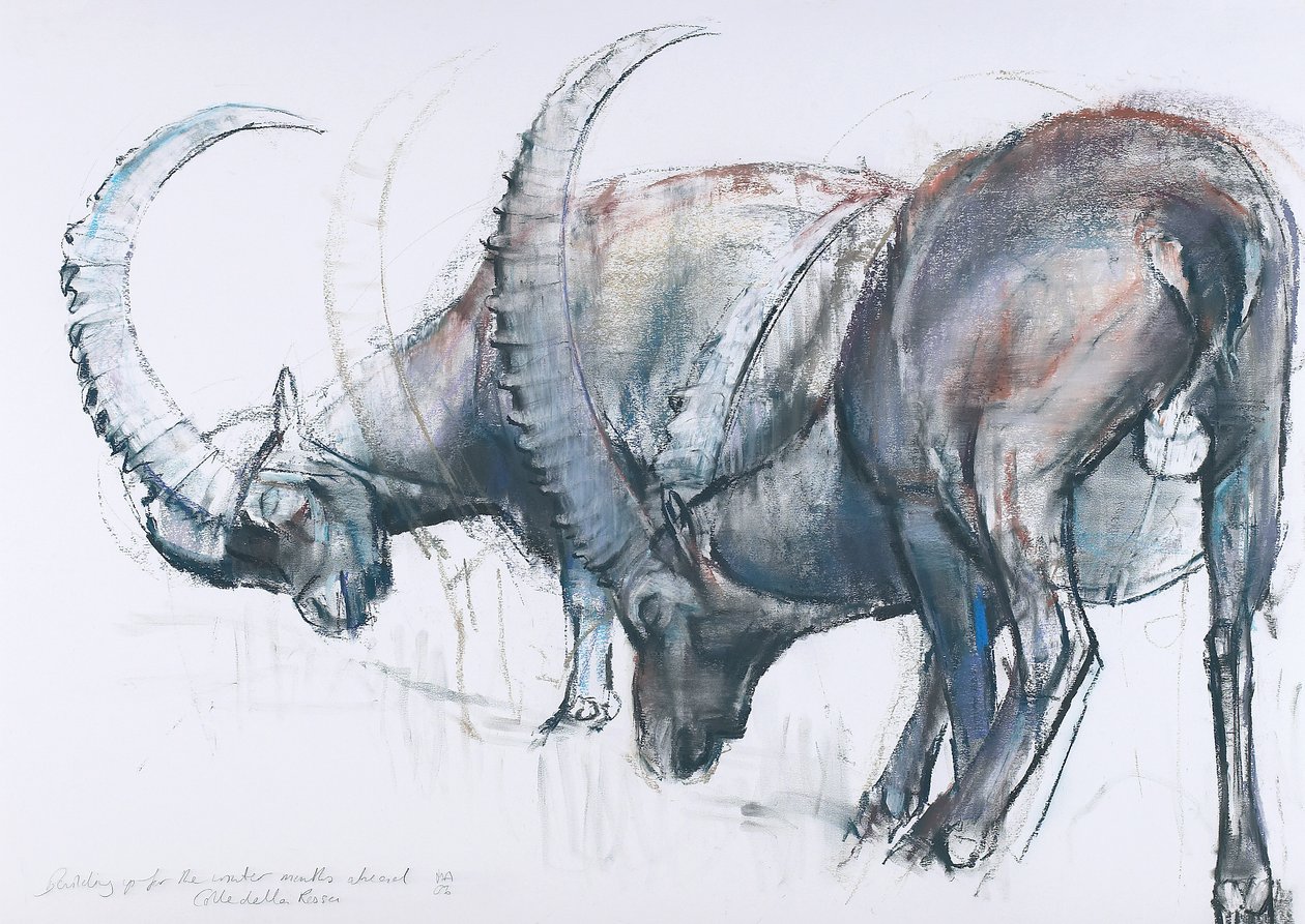 2006 Kışı Hazırlanıyor (kağıt üzerinde kömür ve conte) by Mark Adlington