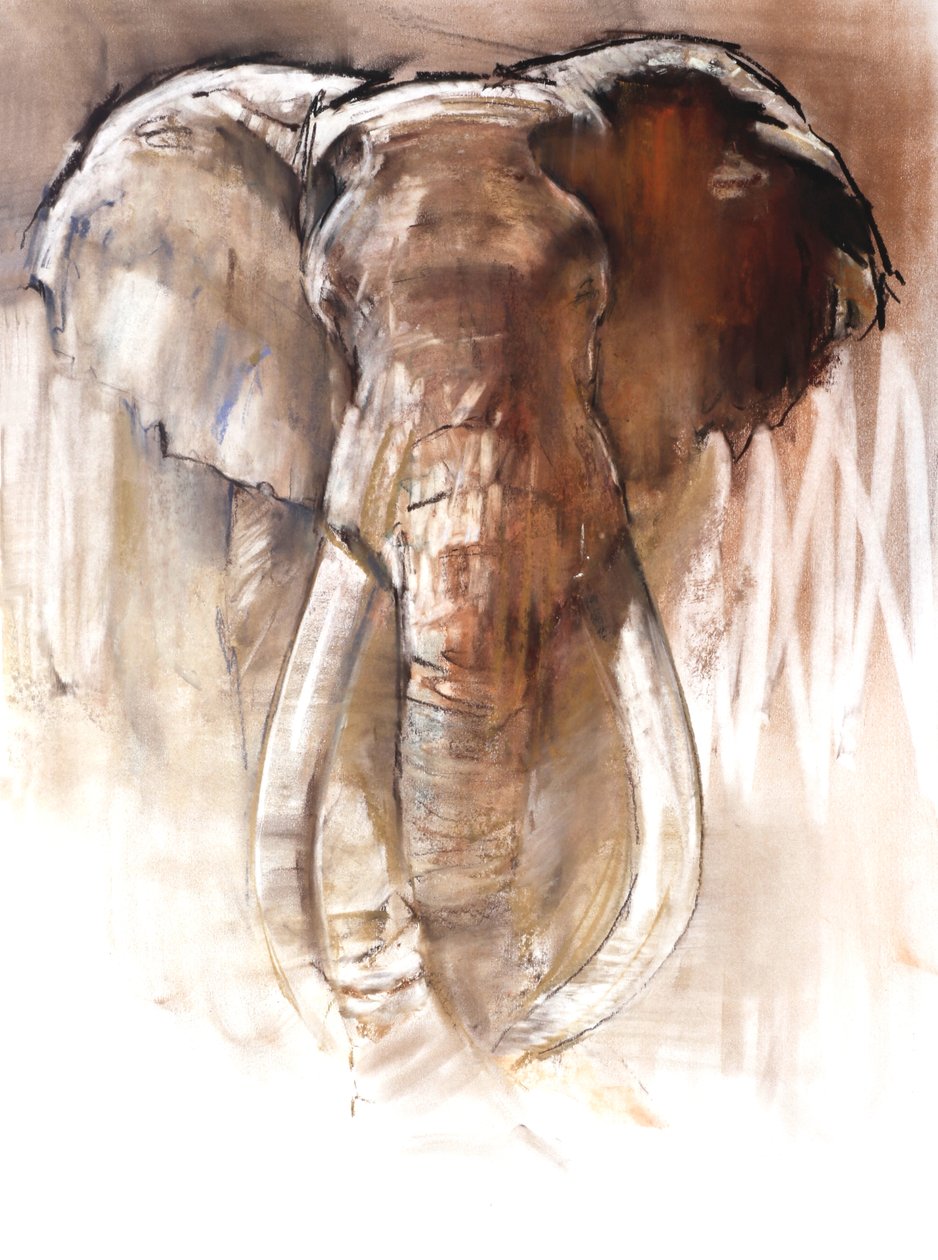 Boğa Fil, 2018 by Mark Adlington