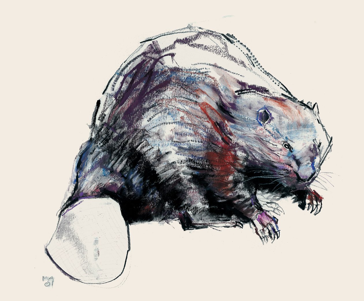 Castor Fiber, 2001 (kağıt üzerinde kömür ve conte) by Mark Adlington