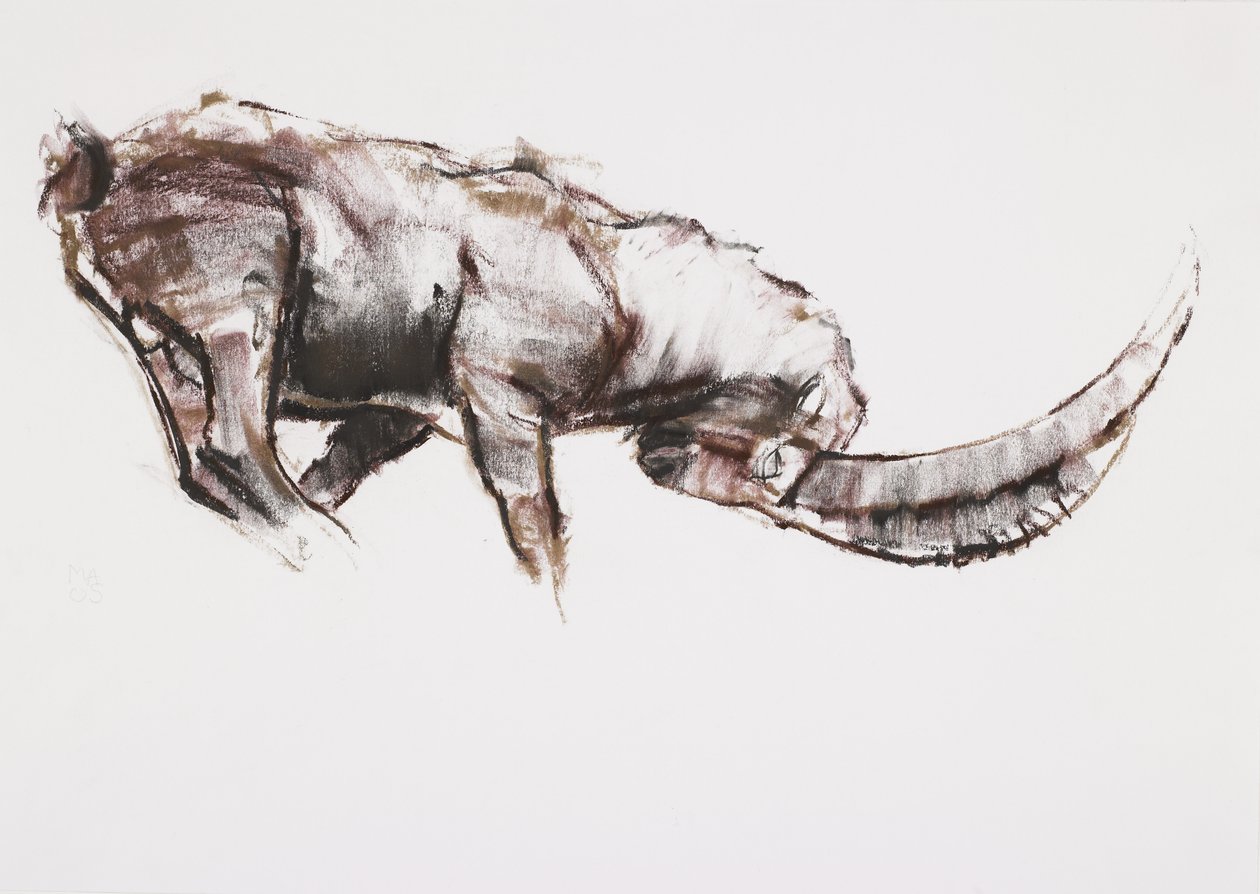 Meydan okuma (kağıt üzerinde kömür und conte) by Mark Adlington