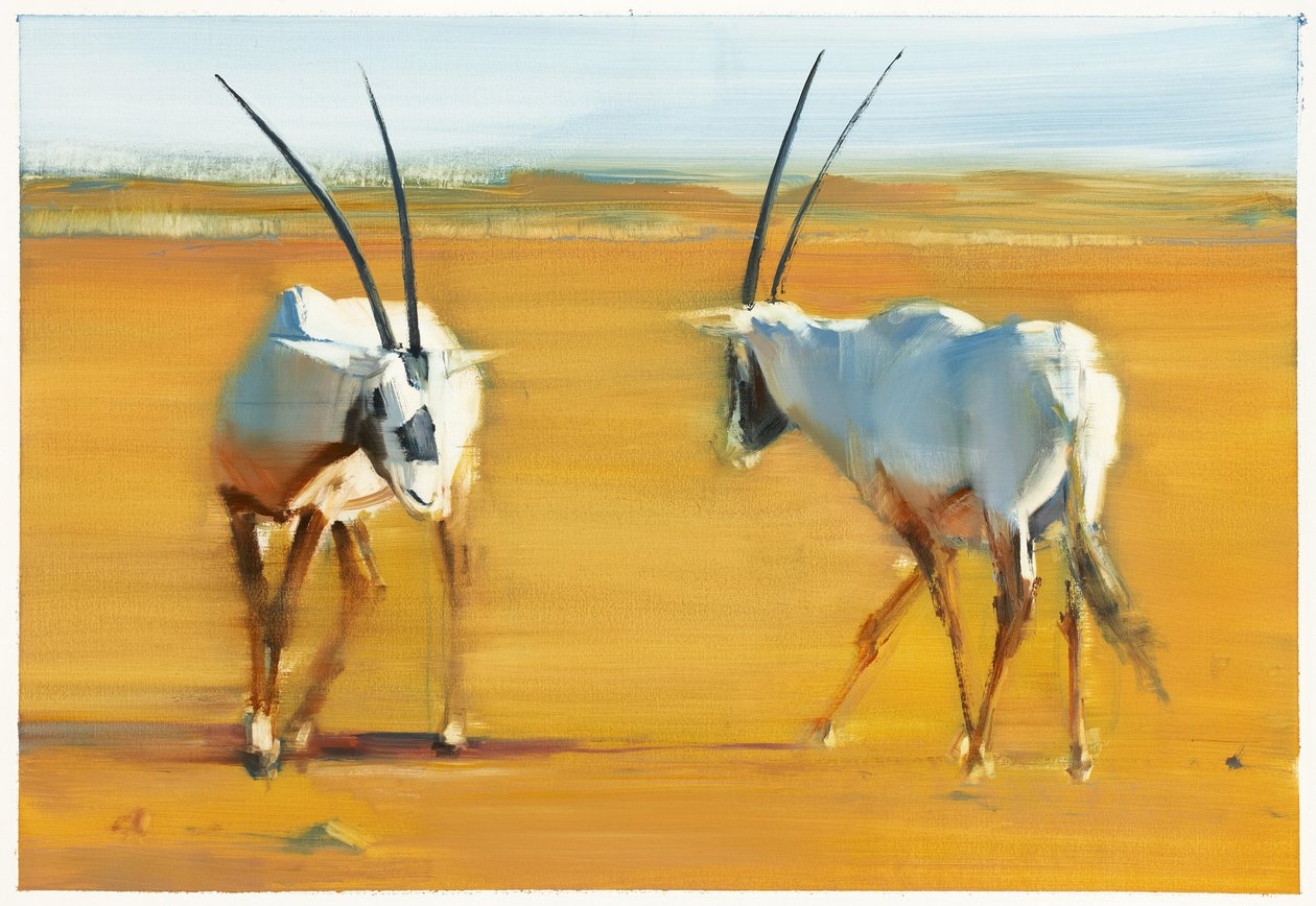 Circling Arabian Oryx, 2010 (kağıt üzerinde yağlı boya) by Mark Adlington