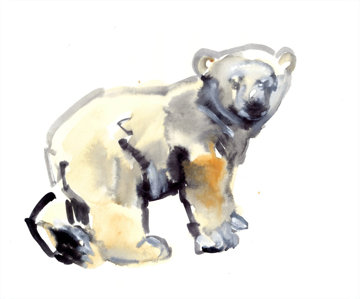Cub, 2015, (kağıt üzerine sulu boya ve guaj boya) by Mark Adlington