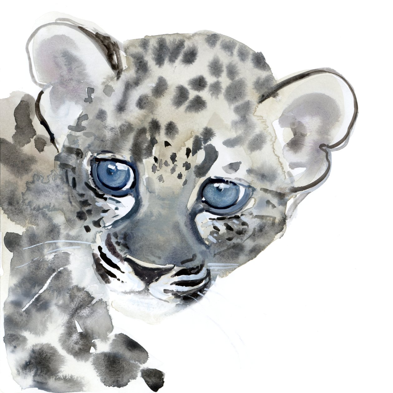 Cub, 2015, (kağıt üzerine sulu boya) by Mark Adlington