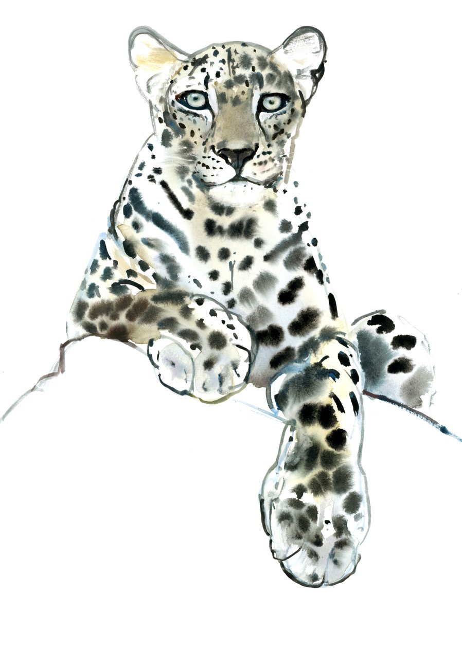 Direct (Arap Leoparı), 2015, (kağıt üzerine sulu boya ve guaj boya) by Mark Adlington