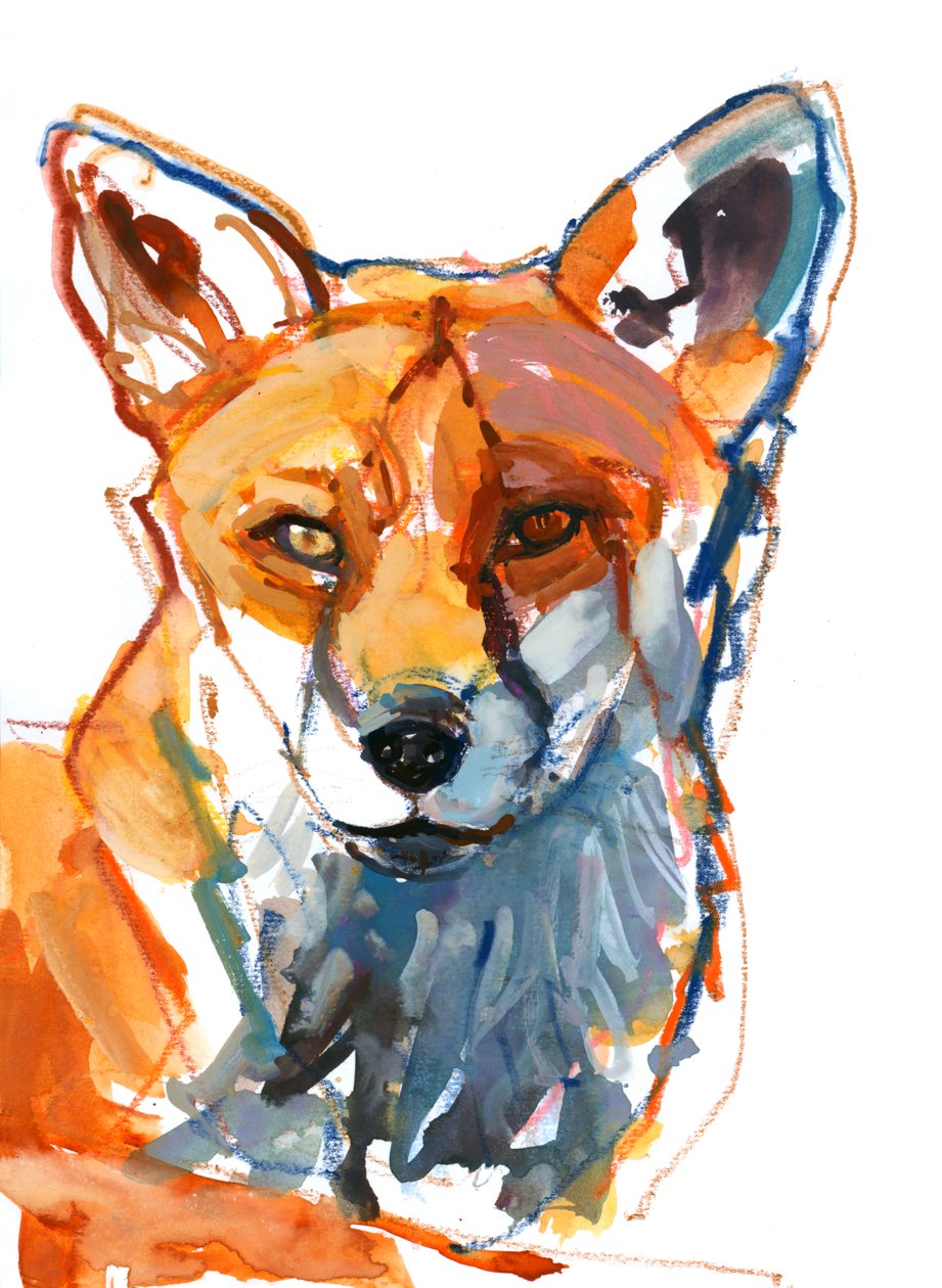 Köpek tilki, 2021 by Mark Adlington