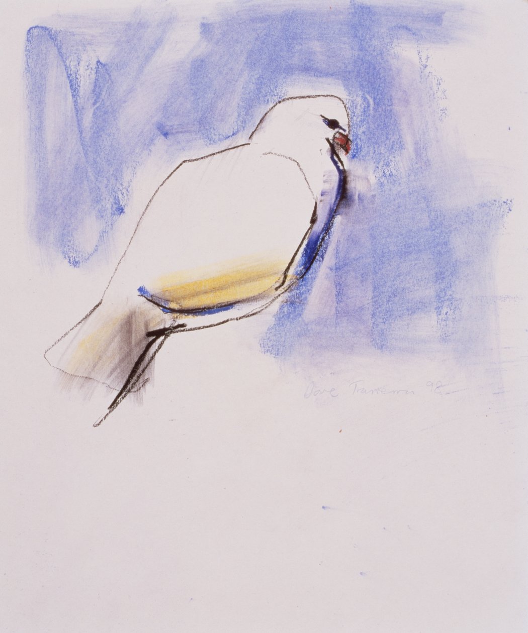 Dove, Trasierra, 1998 (kağıt üzerinde grafit, kömür ve conte) by Mark Adlington