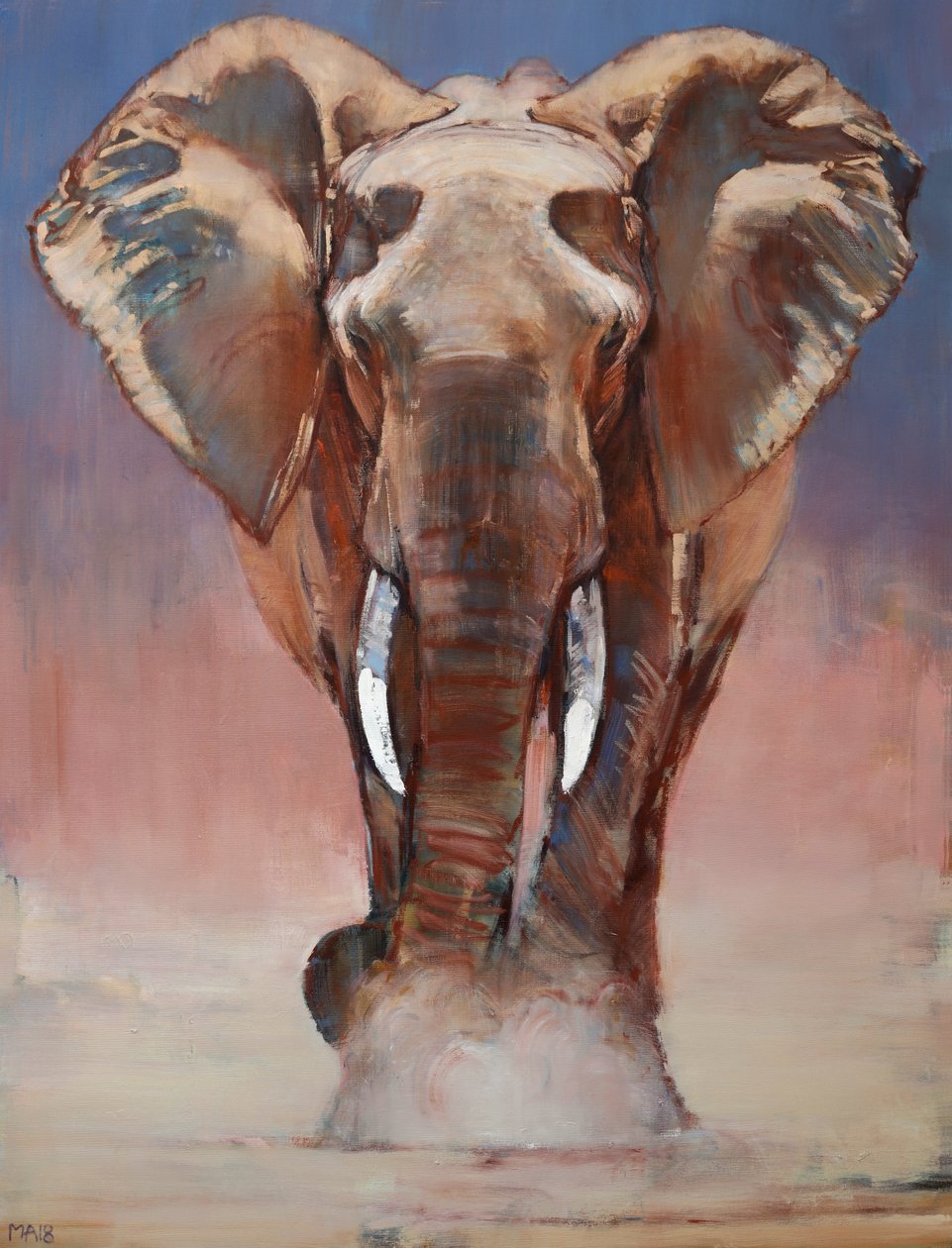 Toz Banyosu, Loisaba, 2018 by Mark Adlington