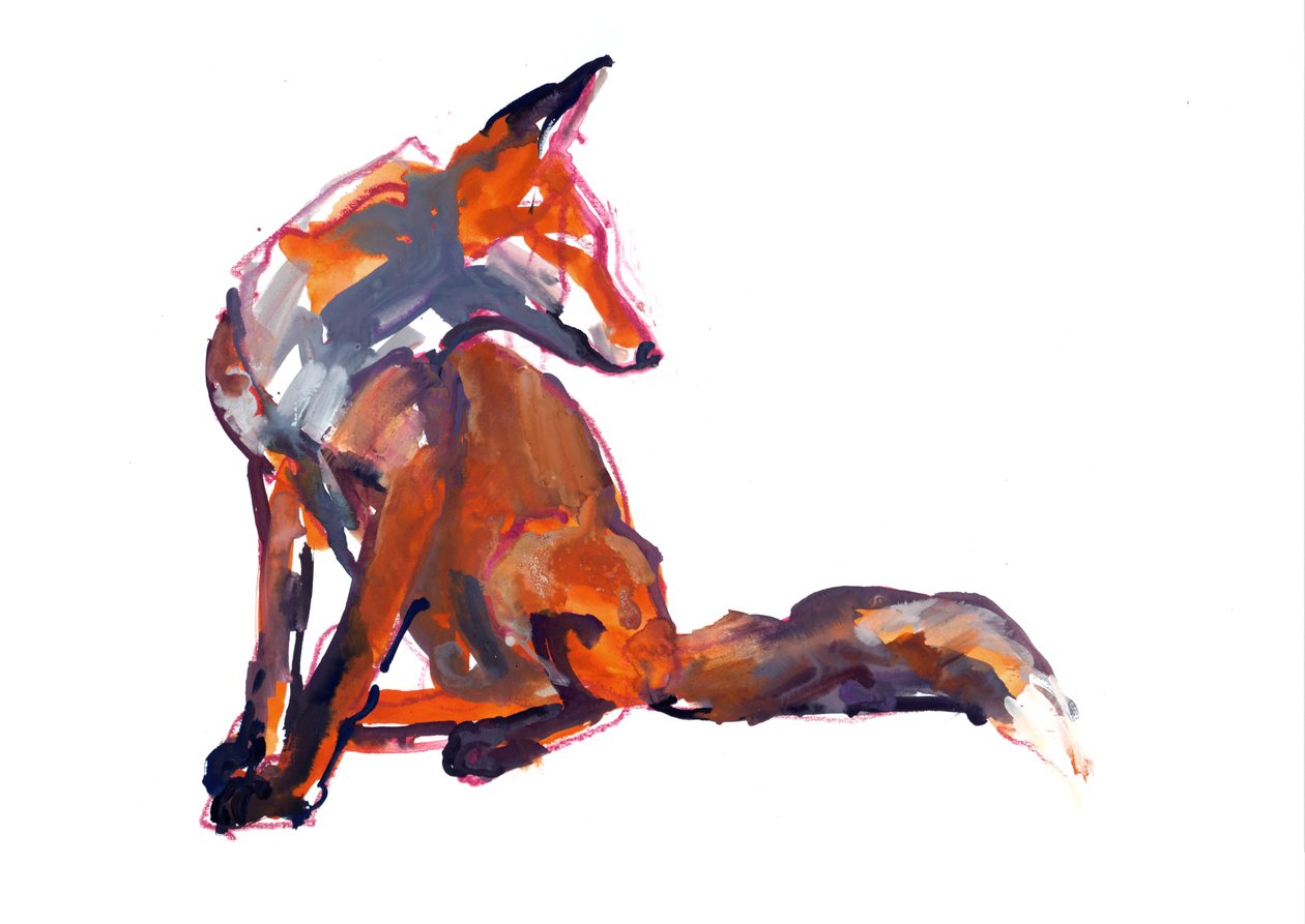 Elegant Youngster (kızıl tilki), 2021 by Mark Adlington