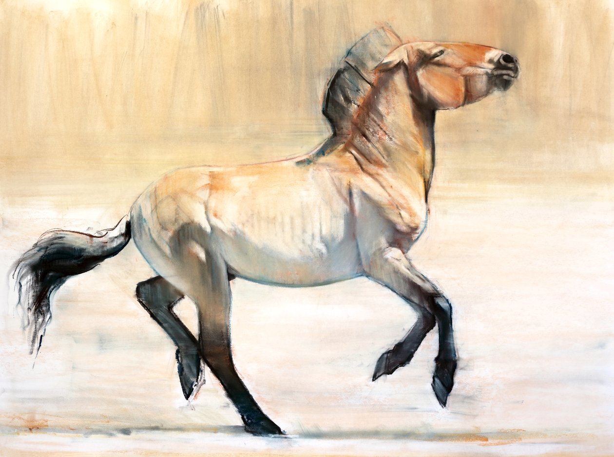Equus (Przewalski), 2014, (kağıt üzerinde pastel ve karakalem) by Mark Adlington