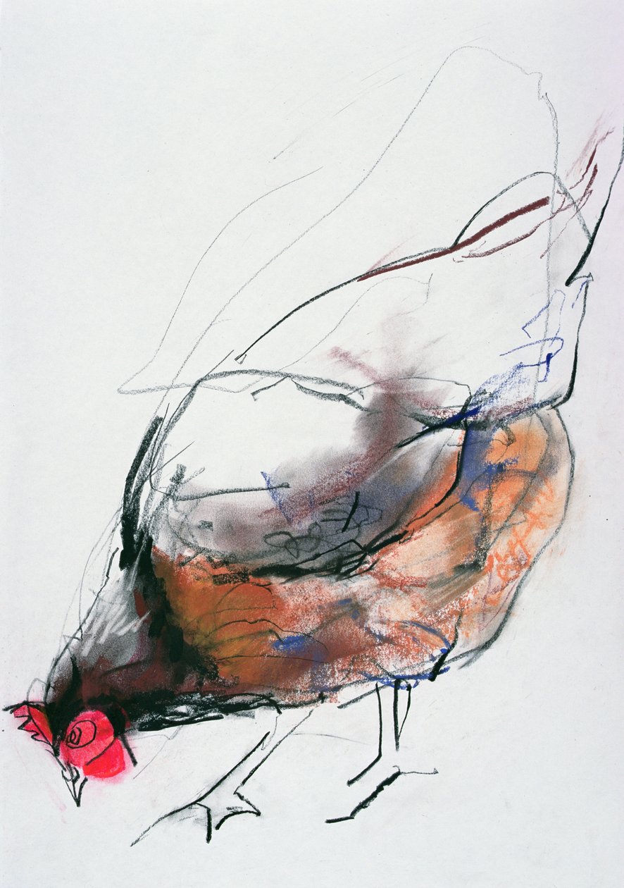 Feeding Hen, Trasierra, 1998 (kağıt üzerinde grafit, conte ve kömür) by Mark Adlington