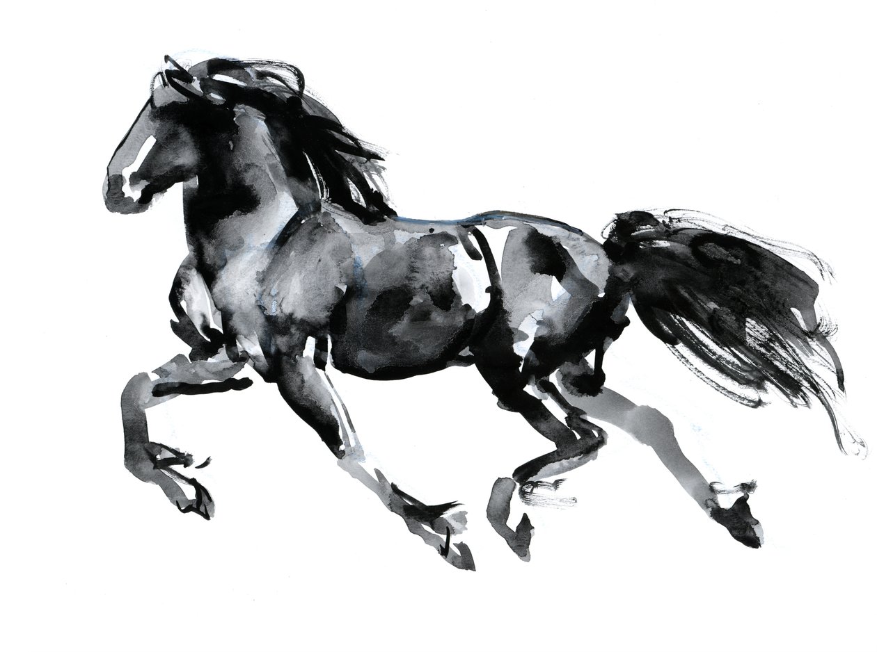 Uçan Friesian, 2015, (kağıt üzerine çin mürekkebi) by Mark Adlington
