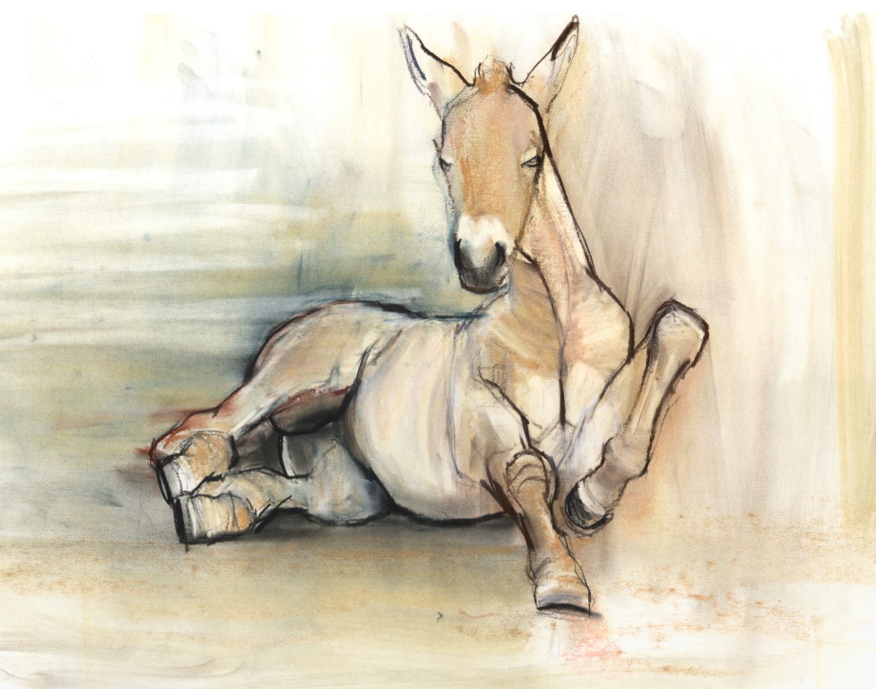 Tay, 2012, (kağıt üzerinde kömür conté ve pastel) by Mark Adlington