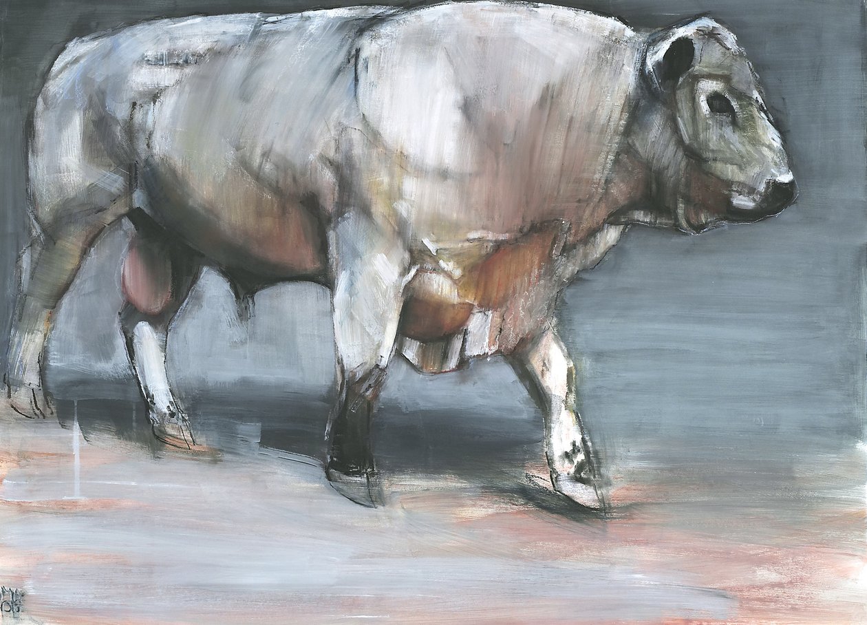 Fresno, Galloway Bull (kağıt üzerinde karışık teknik) by Mark Adlington