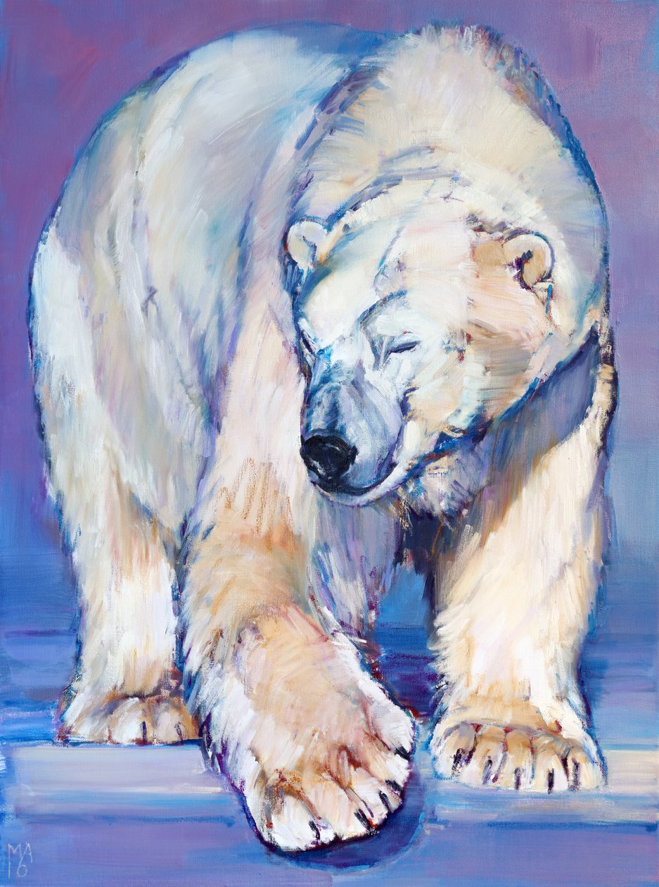 Büyük Beyaz Ayı, 2016 by Mark Adlington