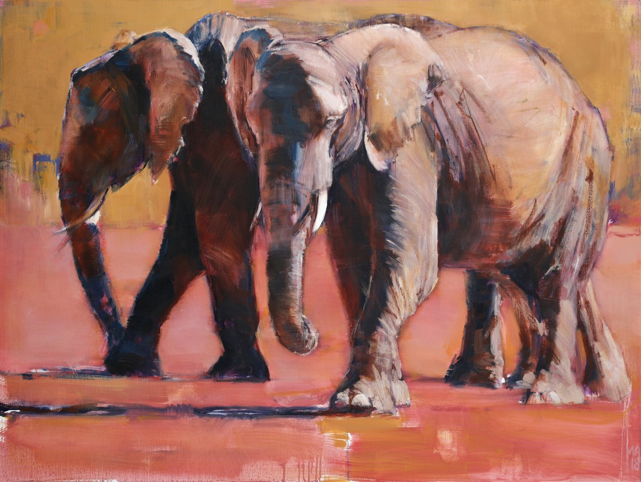 Isı, Ol Pejeta, 2018 by Mark Adlington