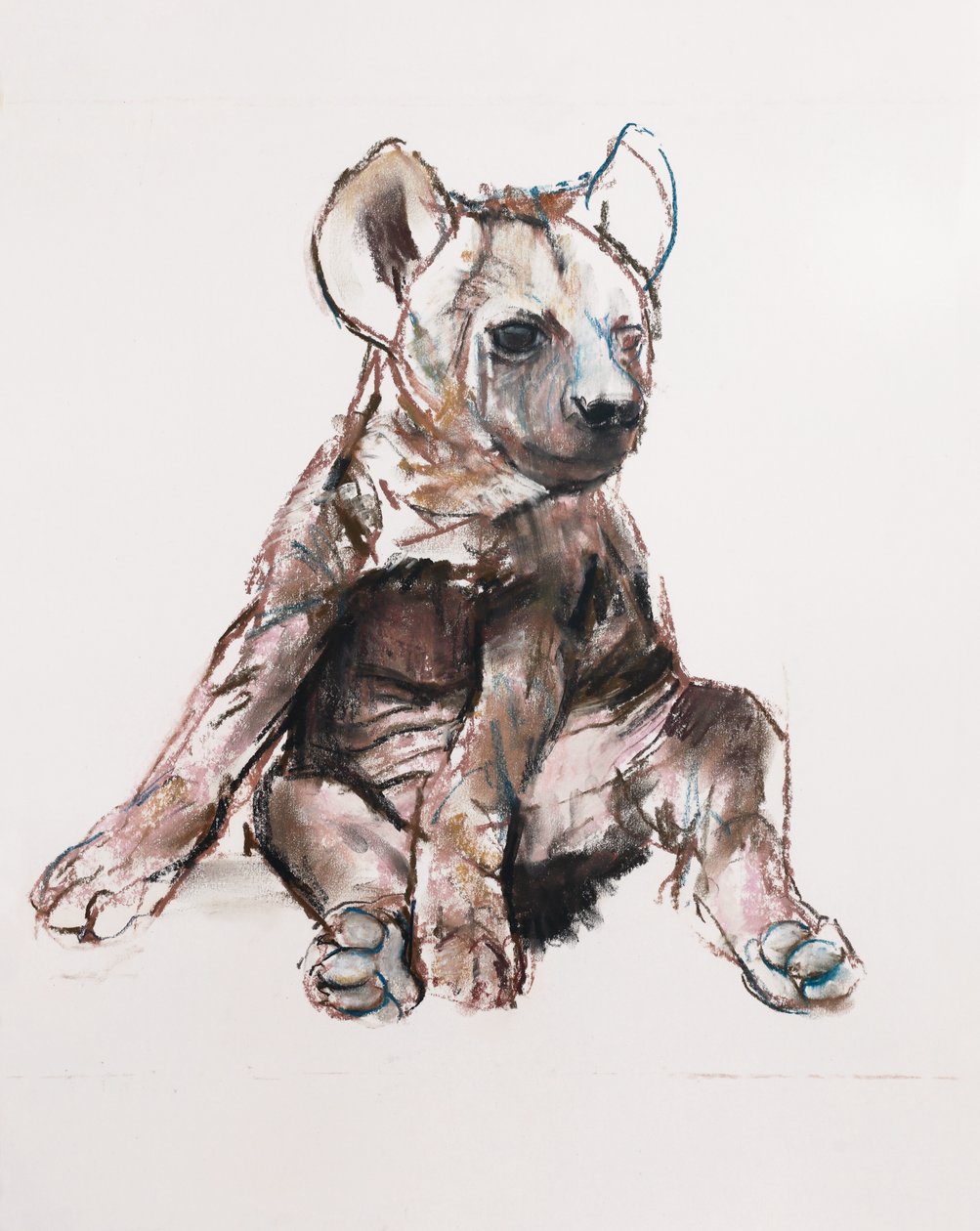 Hyaena Pup (oturarak), 2019 by Mark Adlington