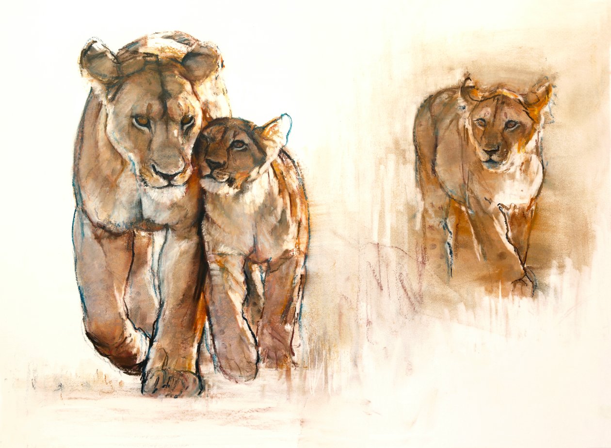 Kıskanç yavru, 2019 by Mark Adlington