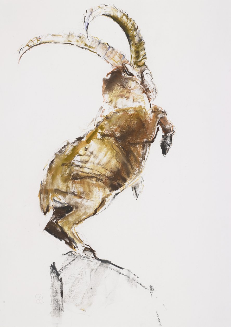 Dağın Kralı, 2005 (kağıt üzerinde kömür und conte) by Mark Adlington
