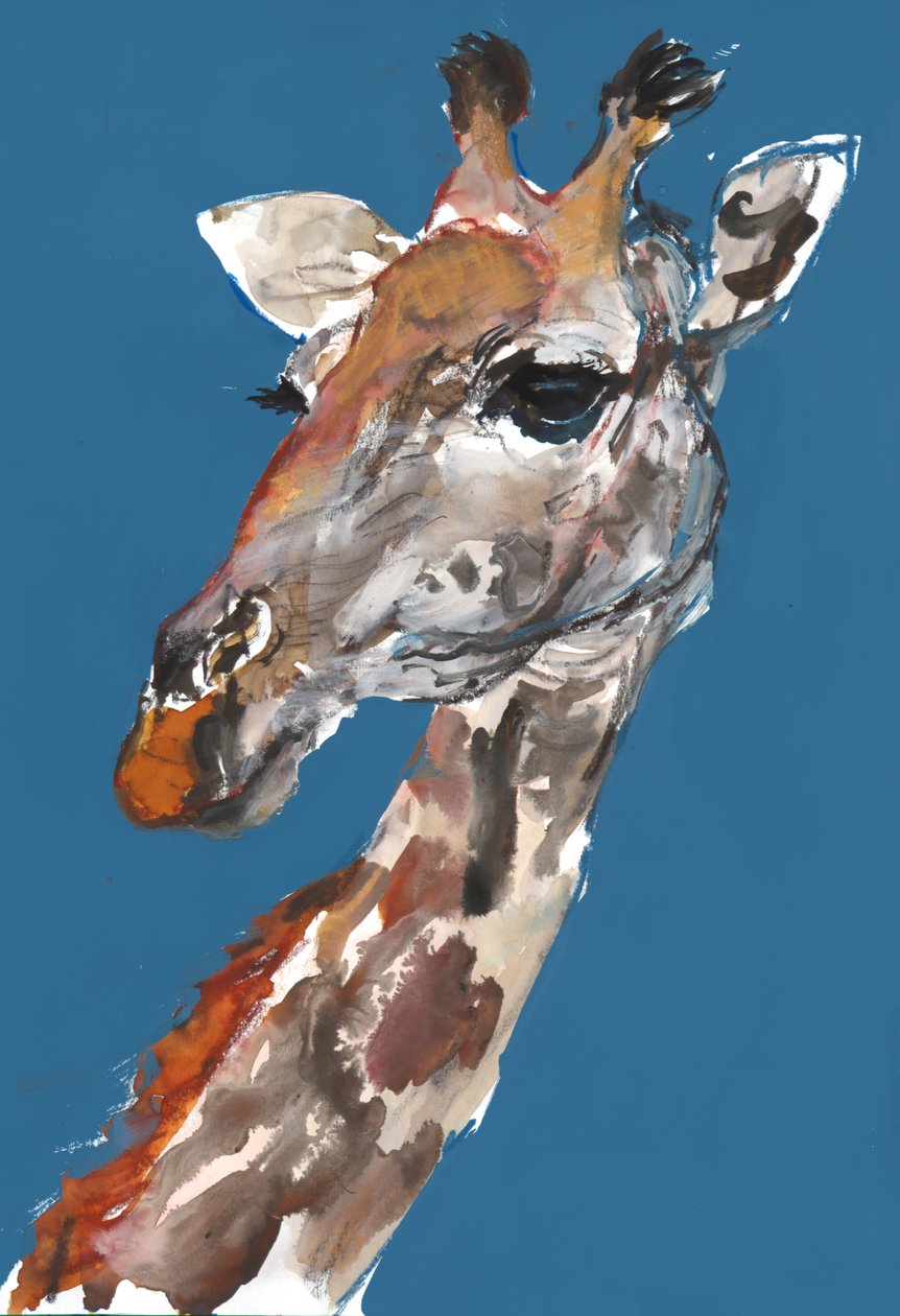 Bayan Zürafa, 2018 by Mark Adlington