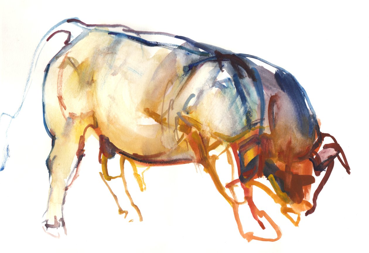 Little Bull, 2010, (kağıt üzerine sulu boya ve guaj boya) by Mark Adlington