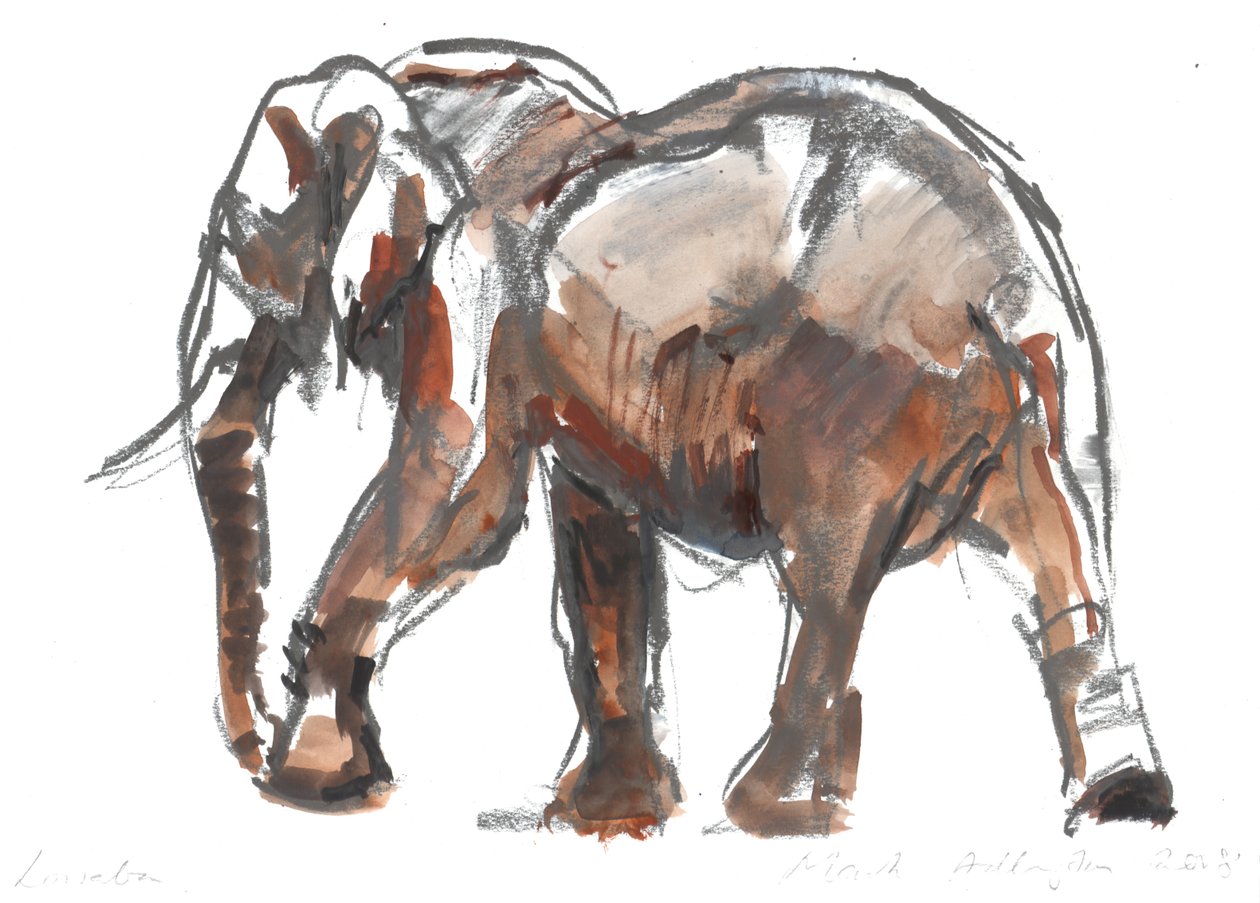 Loisaba koruma, 2018 by Mark Adlington